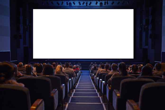 PraCegoVer: plateia vista de costas em uma sala de cinema